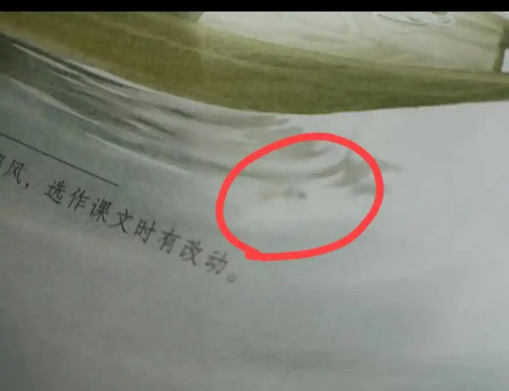 第一幅图是三年级上册第五单元第15课搭船的鸟.