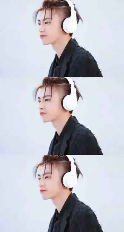 王琳凯三格拼接壁纸