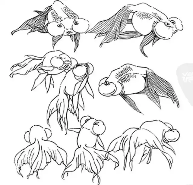 白描花鸟之鱼虫篇