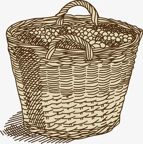 一筐葡萄矢量手绘速写红葡萄元素