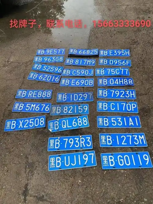 齐齐哈尔车主你丢的车牌可能在这里