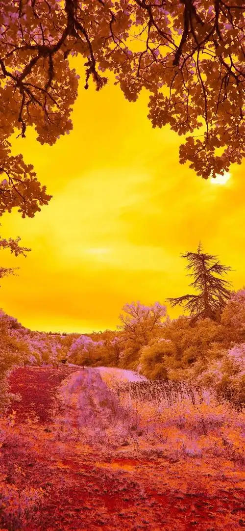 风景壁纸|色彩斑斓的大自然