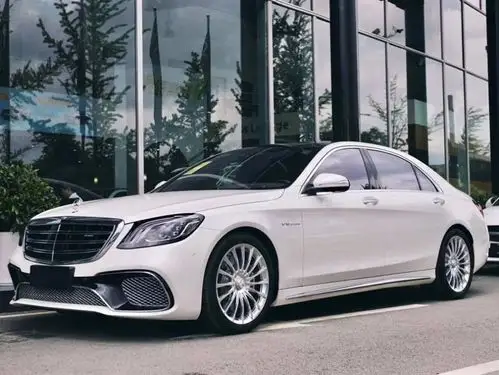 奔驰s级amg 2019款 amg s 65 l 典藏版