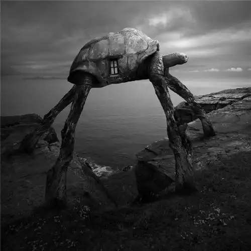 波兰的设计师超现实艺术作品谢谢你大自然给我一个住的地方