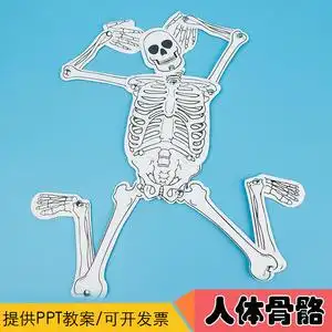 自制人体骨骼 手工diy科技小制作骨头拼装认知幼儿园科普器材料包