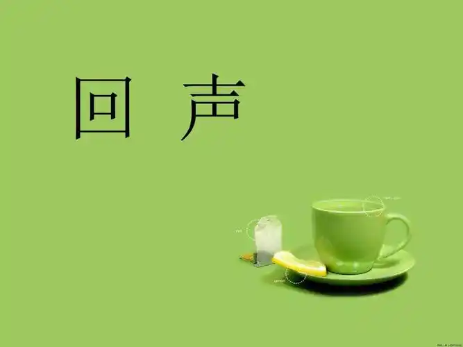 《回声》音乐ppt课件2