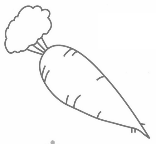 胡萝卜简笔画图片大全大图