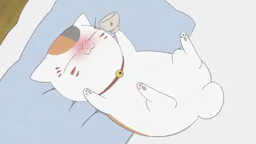 夏目友人帐 夏目 猫咪老师