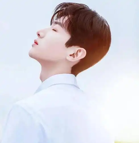 微信头像白敬亭