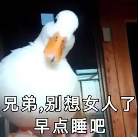 鸭鸭表情包别惹我我有大哥罩鸭