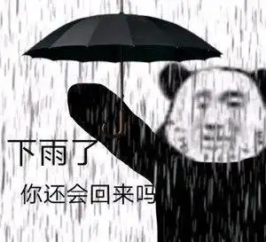 下雨打大伞的图片搞笑
