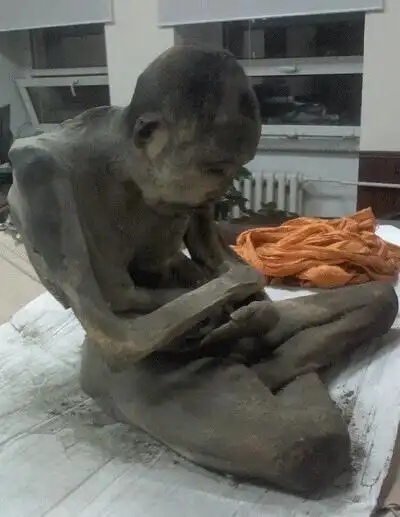 蒙古国现200年前未腐僧侣干尸 呈打坐姿势(图)