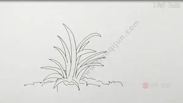 草丛简笔画