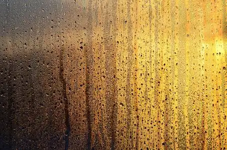 黎明阳光图片-黎明阳光素材-黎明阳光插画-摄图新视界