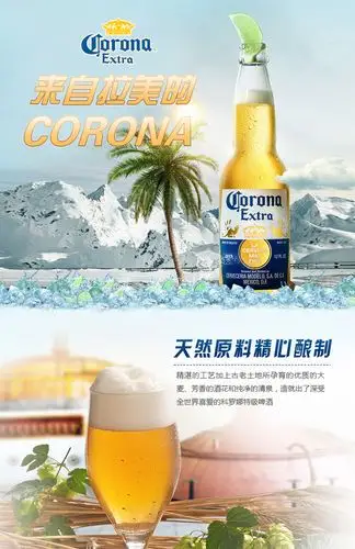 积分豪兑科罗娜特级啤酒瓶装330ml