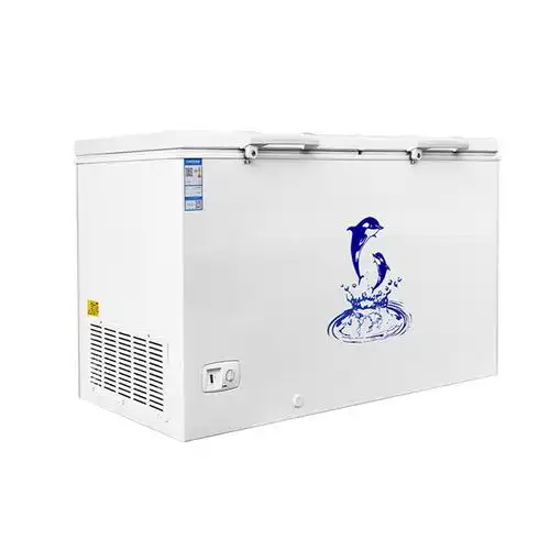 澳柯玛商用双门冰柜大容量冰柜冷冻冷藏柜冰箱