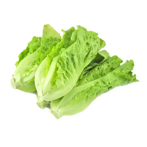 马上生鲜直营店