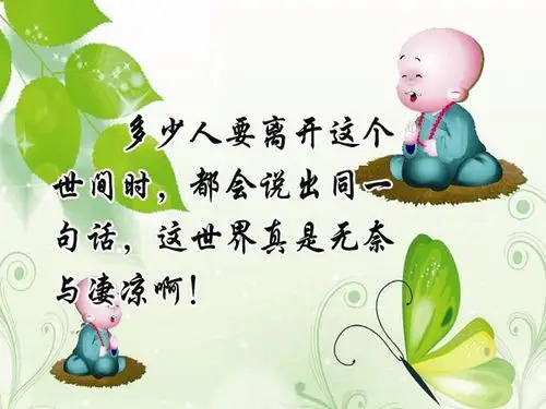 精美经典 - 笑看人生 - 笑看人生