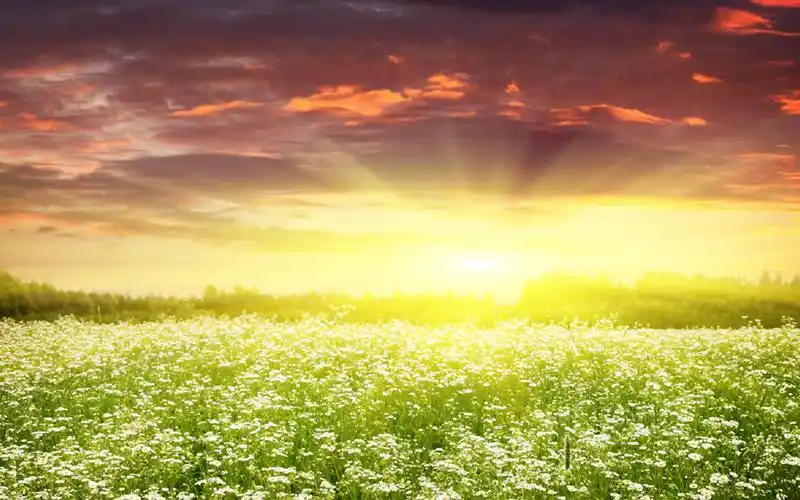 唯美风和日丽自然风光图片桌面壁纸