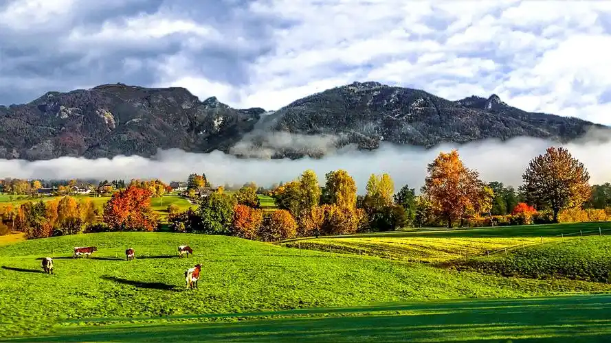 景色旎丽的乡村田园风光 - 美篇