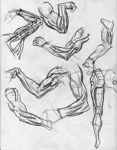 sina.com.cn采集5wgohocr采集到肌肉局部1杂图素描速写(2).blog.sina.