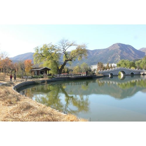 狼天影春天自然风景海报美丽梯田墙贴画宿舍卧室房间墙上床边贴纸可