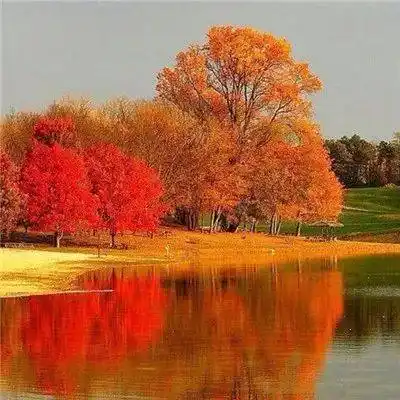 微信头像 | 招财吉祥好运风景头像图片