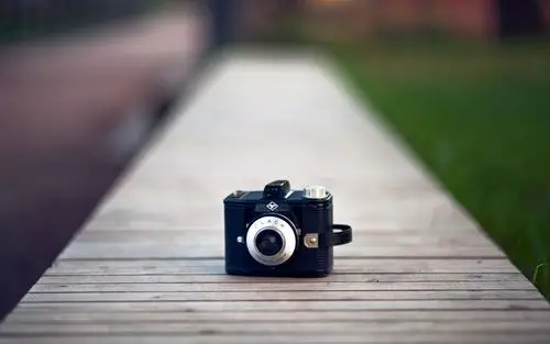 爱克发,clack相机,草地,文艺,安静,复刻时光爱克发壁纸图片