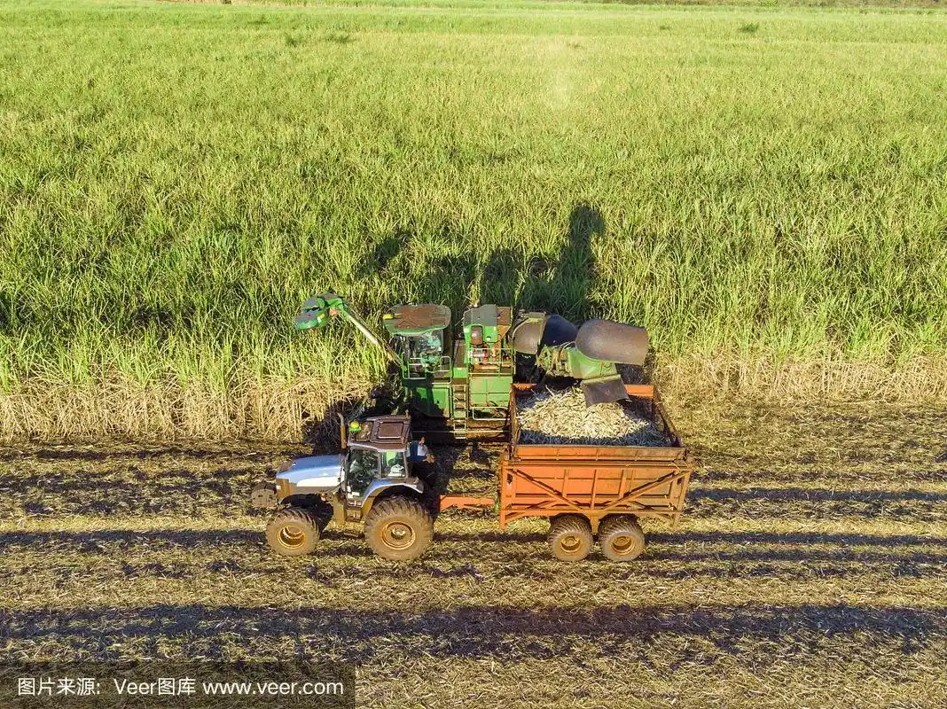 拖拉机,甘蔗,航拍视角,农场,农作物