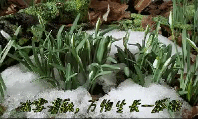 冰雪消融