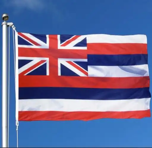 3x5ft 聚酯夏威夷国旗