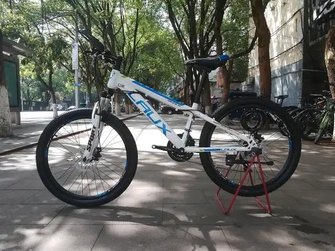 雷克斯自行车laux雷克斯钢架山地车阳光100升级款双碟刹自行车避震