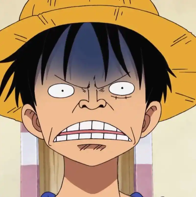 海贼王  的沙雕日常头像#索隆 与#山治 配一脸哦!#搞 - 抖音