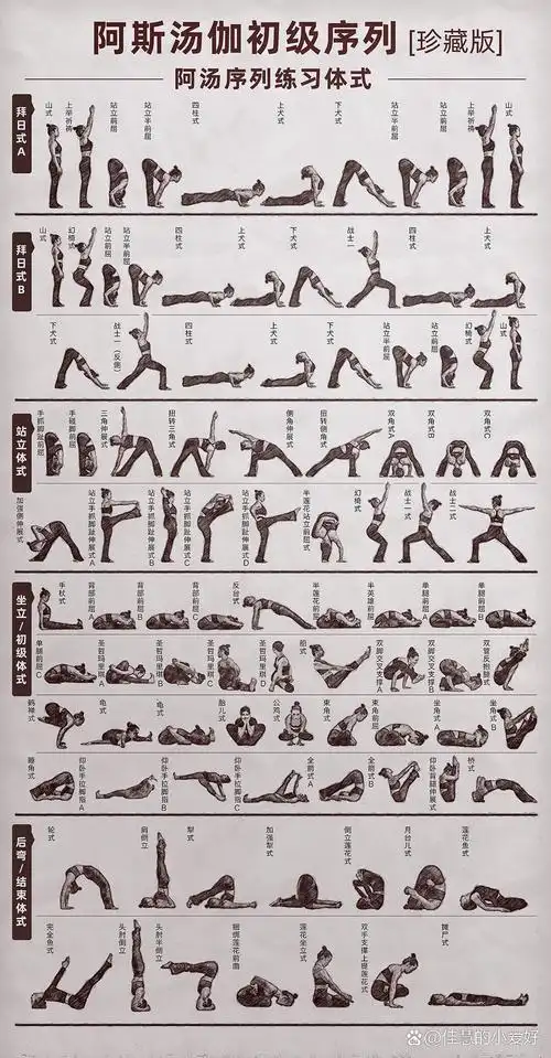 拜日式ab,站立体位,坐立体位,后弯及结束体位,阿斯汤伽初级序列四大