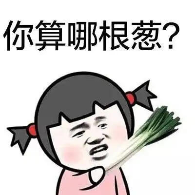 你算个啥表情包图片v10