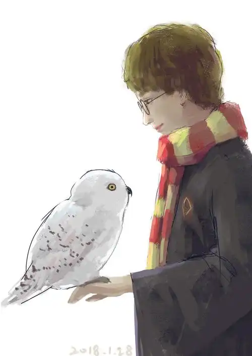 哈利波特与他的海德薇