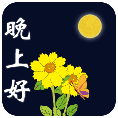 微信晚上好问候语表情包微信晚上好图片大全