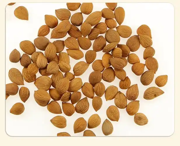 杏仁中药材药用500g坚果野生山食用生苦杏仁