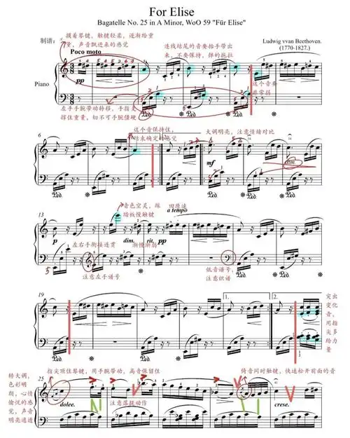 钢琴教学  #钢琴老师  #成人钢琴  #钢琴学习  #致爱丽丝