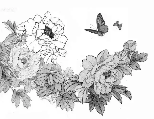 以下是更换花头后,手绘丝绒〔牡丹双蝶〕的白描稿.