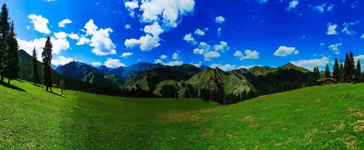 你好夏天天山高山草原夏季风景