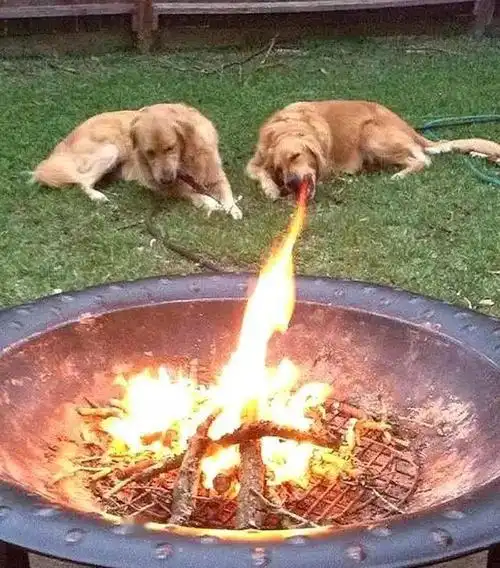 11张令人搞笑的错觉照片再一次说明世界充满了巧合