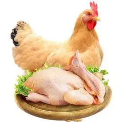 淘穗 正宗土鸡三黄鸡肉 生鲜童子鸡杀后约800g/只