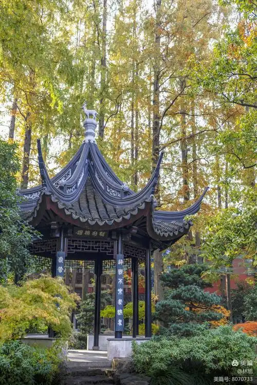 曲水园:上海五大古典园林之一