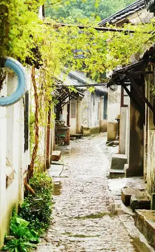 江南古镇一日游