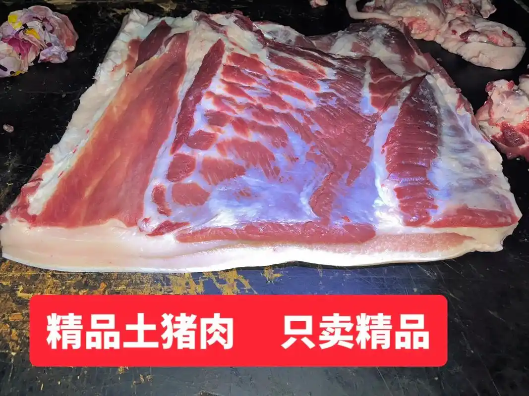 精品土猪肉  保证质量.新鲜新鲜 精品精品 土猪肉土猪肉   - 抖音