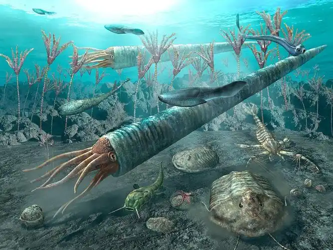 古代海洋5大顶级掠食者最强者咬合力可达20吨超过了霸王龙