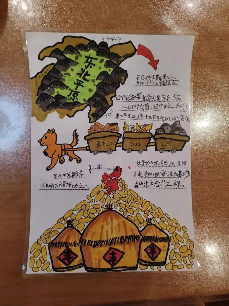 一姐作品:关于"东北三省"的手抄报