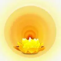 微信金色莲花头像大全寓意金光闪闪佛教莲花头像点击鼠标右键下载