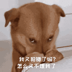怎么又不理我了(狗狗委屈表情包)